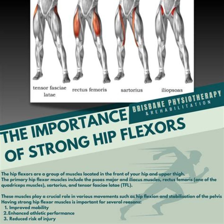 What is the best exercise for hip flexors?