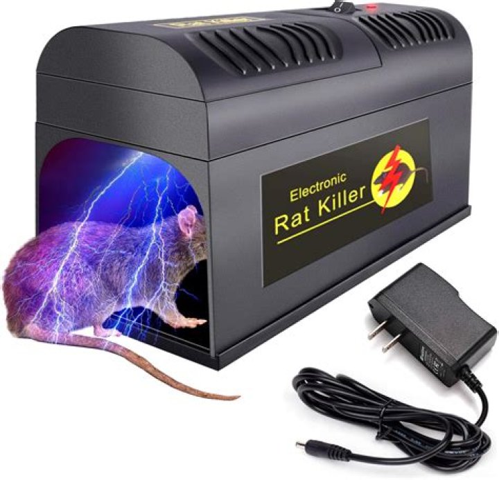 What is the best rodent killer?