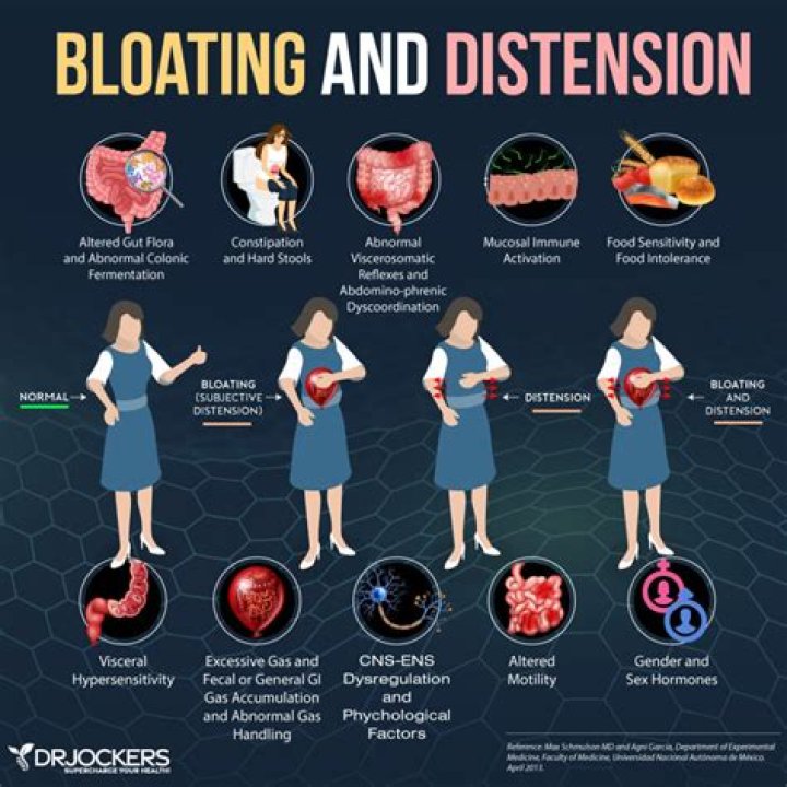 What is the difference between belching and burping?