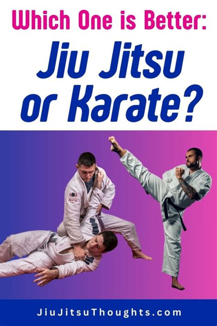 What is the difference between Karate and Jiu-Jitsu?