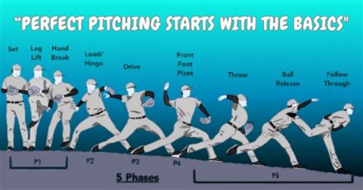 What is the fewest pitches in a perfect game?
