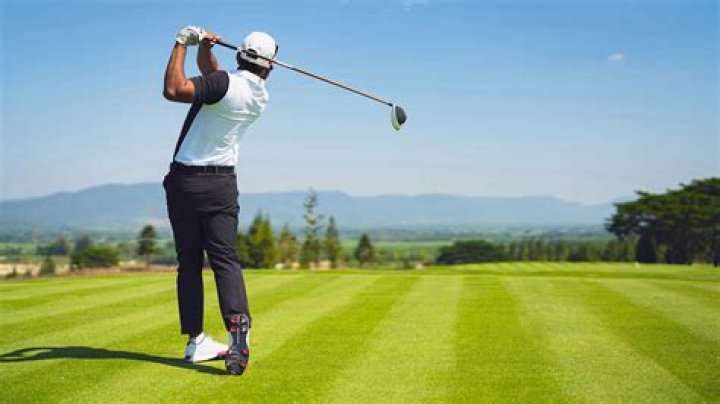 What is the longest hitting driver for seniors?