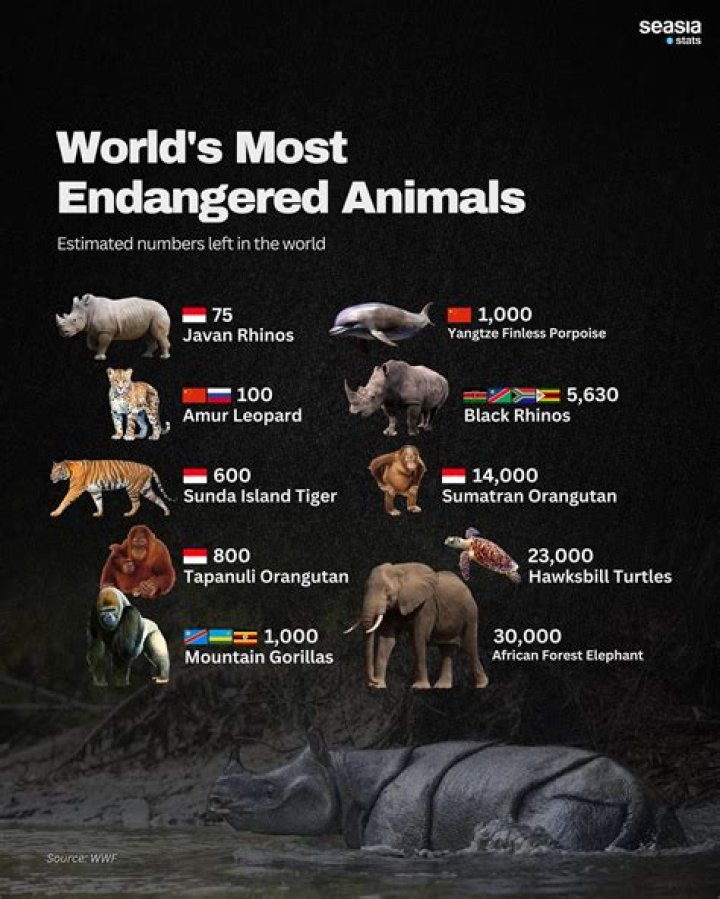 What is the most endangered species on earth?