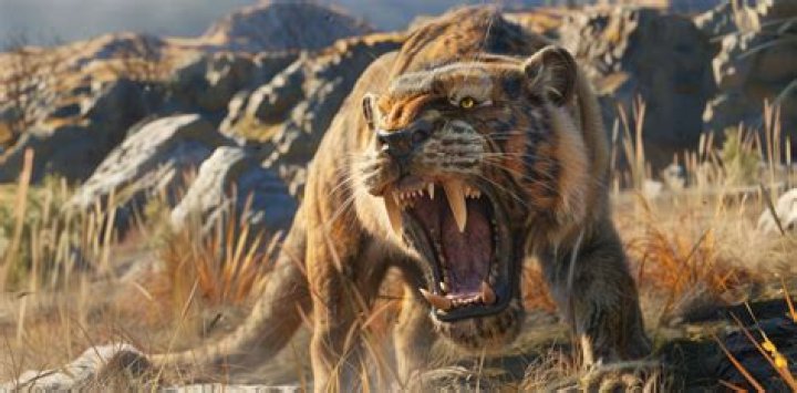 What is the saber tooth tiger closest relative?