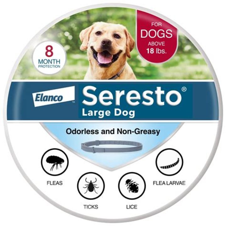 What kills fleas on contact on dogs?