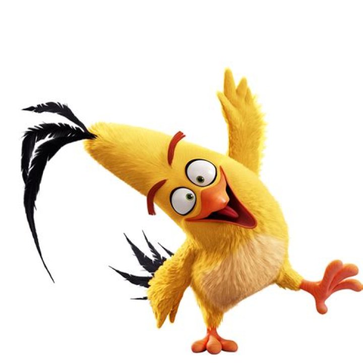 What kind of bird is Chuck from Angry Birds?