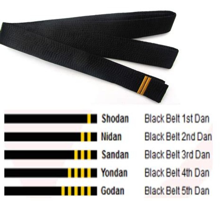 What level is dan in karate?