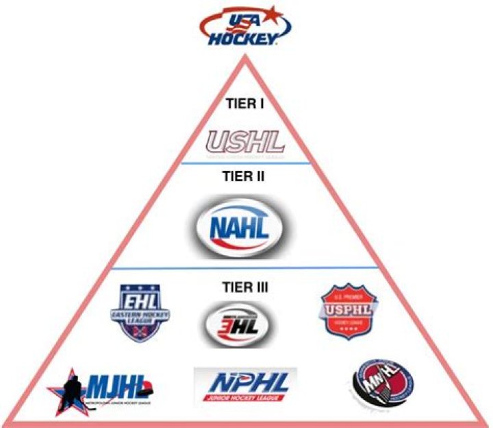 What level of hockey is the ACHA?