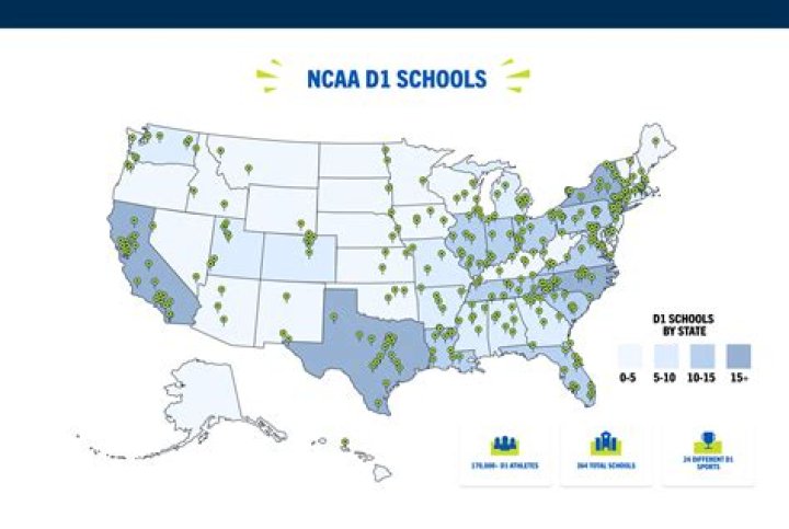 What makes a D1 school?