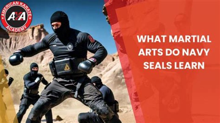 What martial art do Navy SEALs learn?