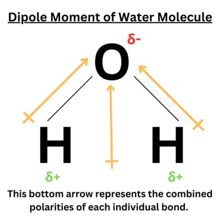 What molecule Cannot mix with water?