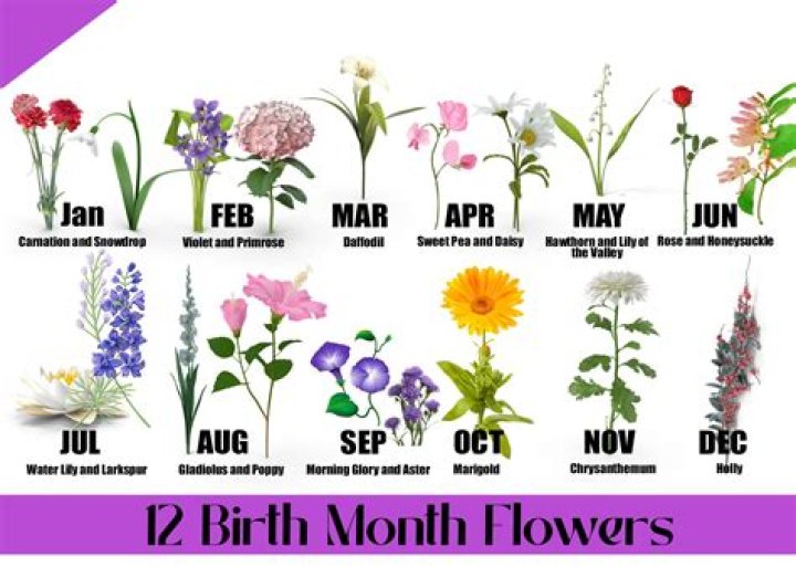 What month are most lefties born in?