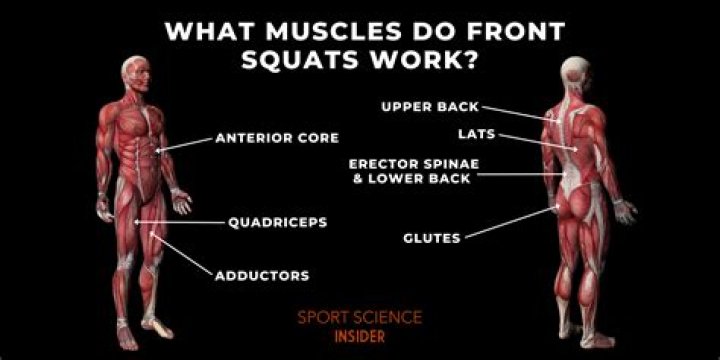 What muscles do you use surfing?