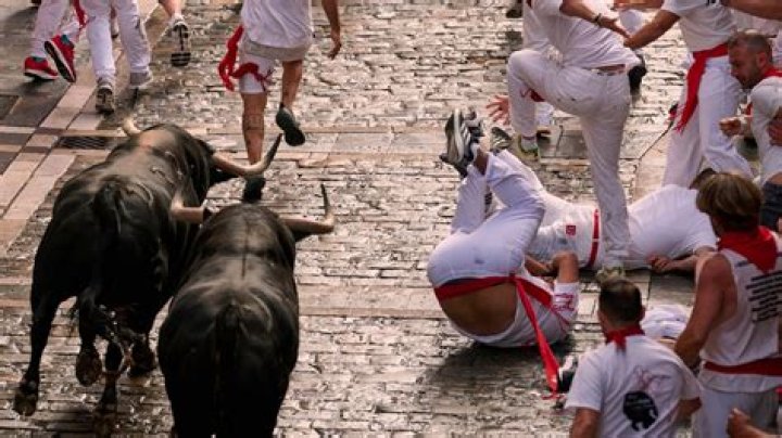 What offense do the Bulls run?