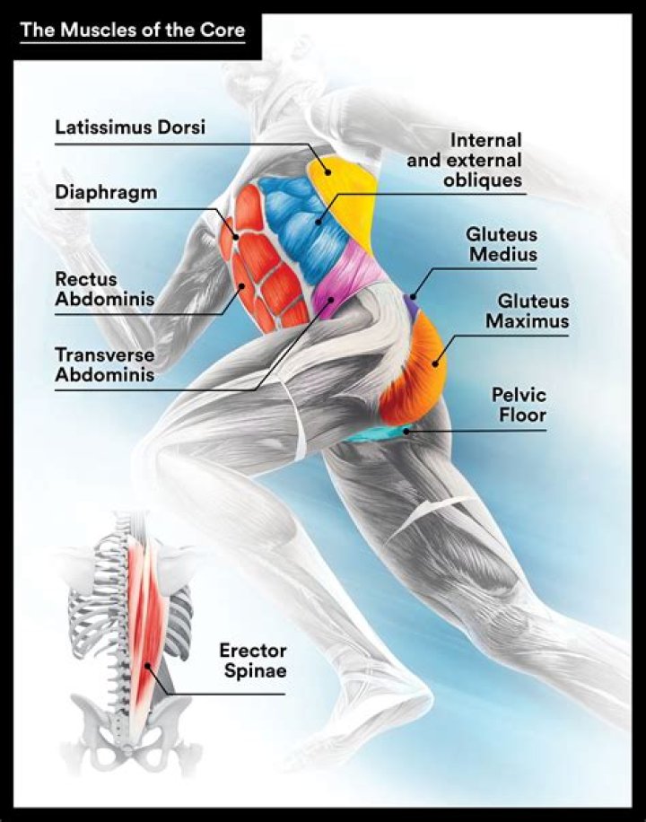 What parts of the body does running tone?