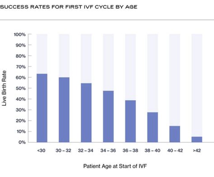 What percentage of IVF is successful?