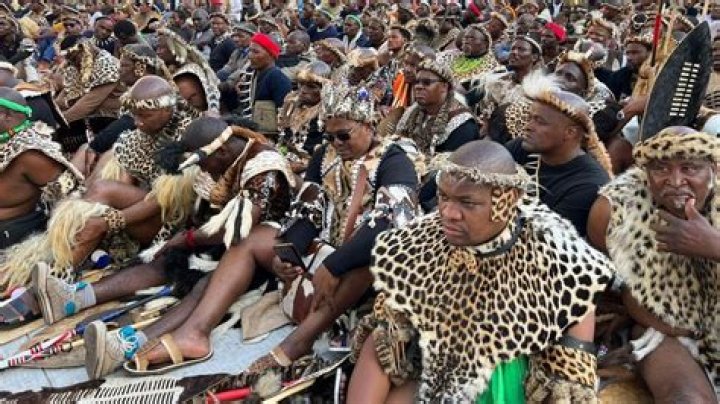 What percentage of South Africa are Zulus?