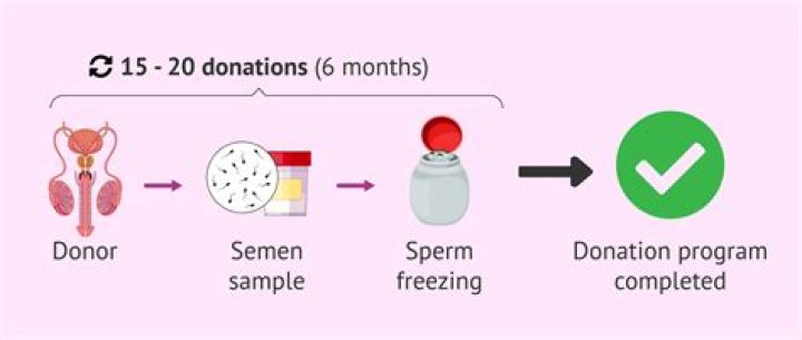 What questions do they ask sperm donors?