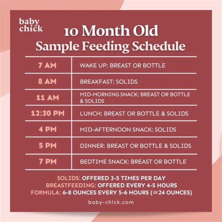 What should 10 month olds be doing?