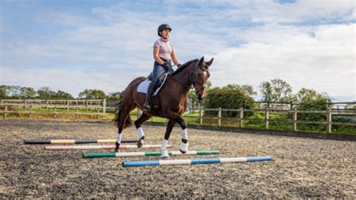 What should a beginner horse rider learn?