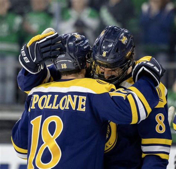 What sports are d1 at Quinnipiac?