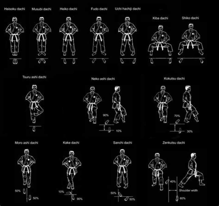 What type of Karate is Kyokushin?