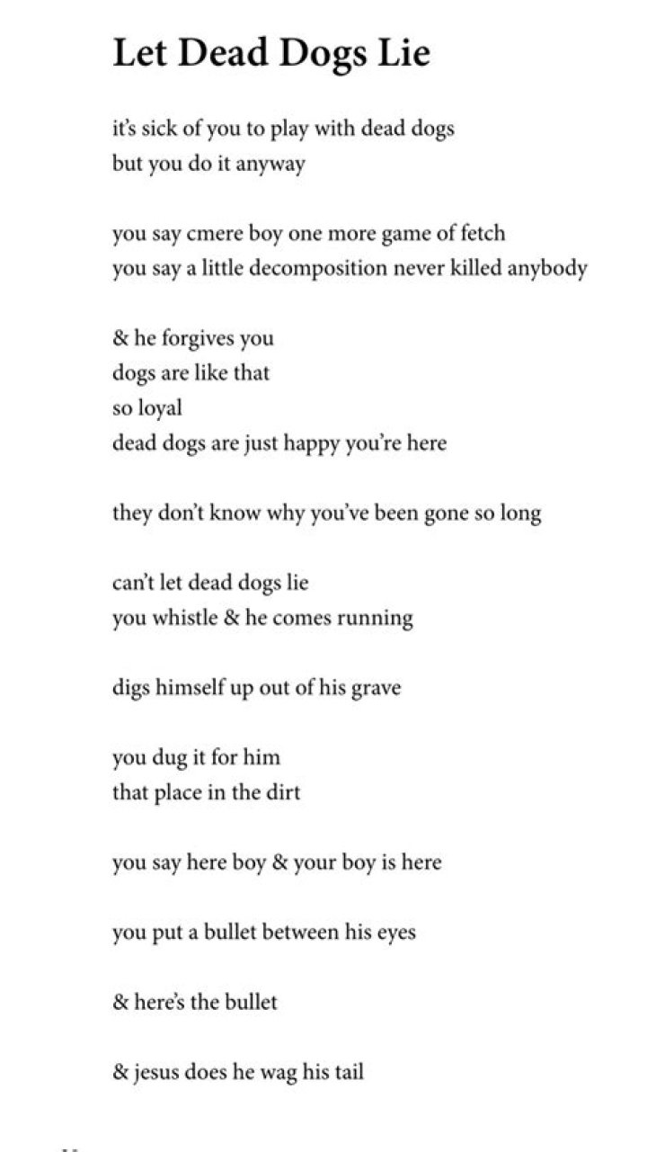 Where did the term Let dead dogs lie come from?