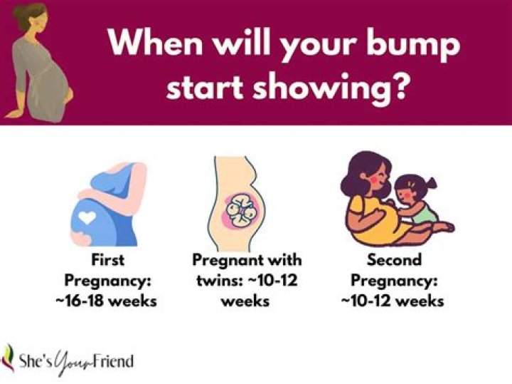 Where does a baby bump start?