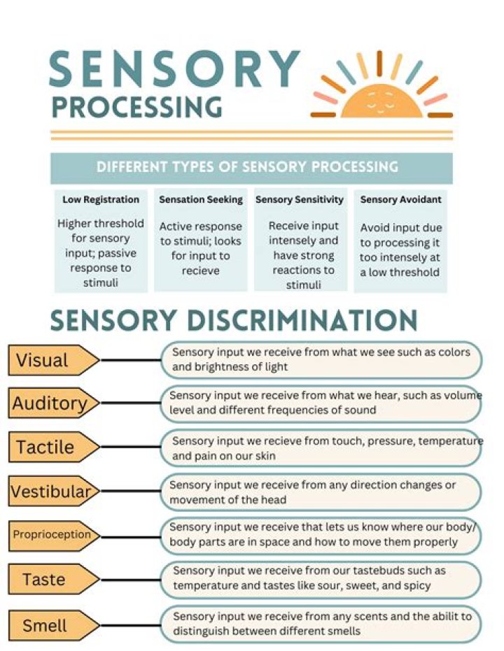 Where does sensory processing disorder come from?
