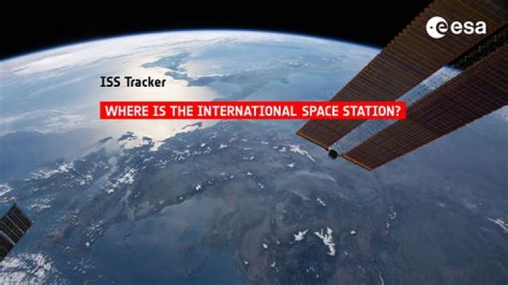 Where is The International streamed?