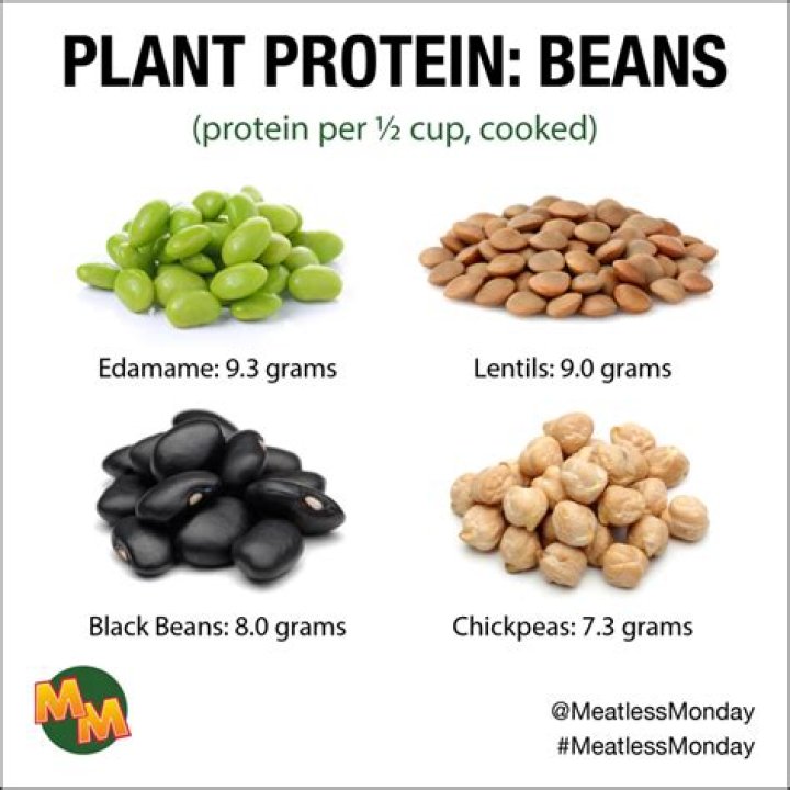 Which beans have the most protein?