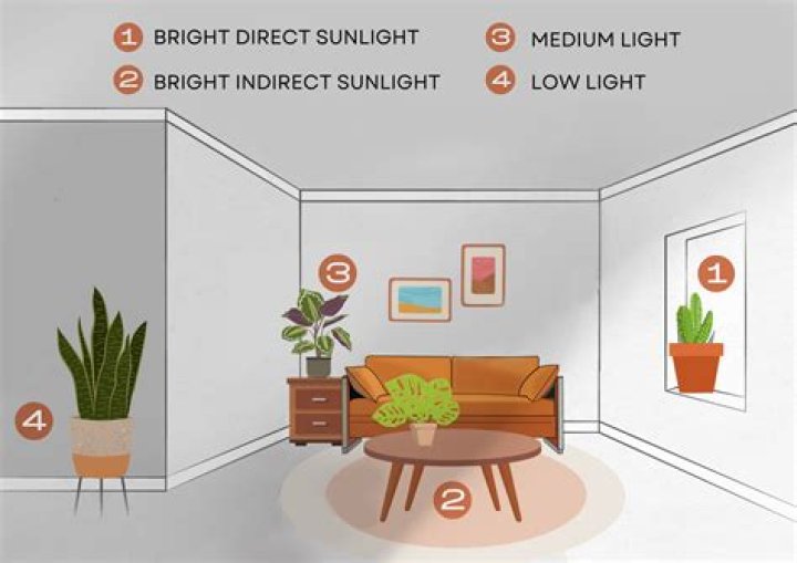 Which direction gets the most sun in Canada?
