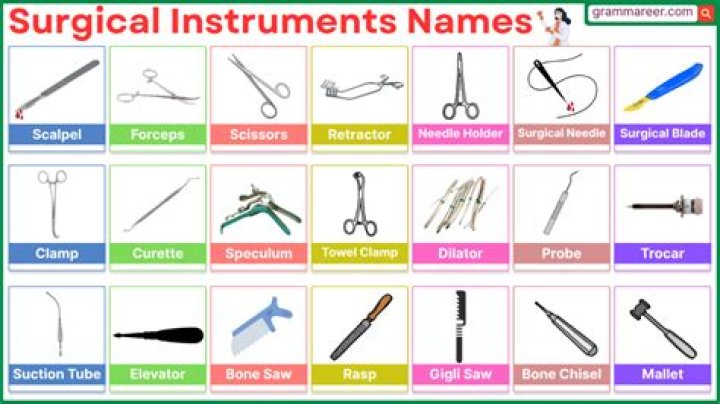 Which instrument is the king of all instruments?