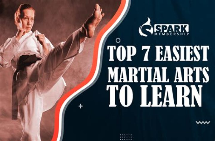Which martial art is easiest?