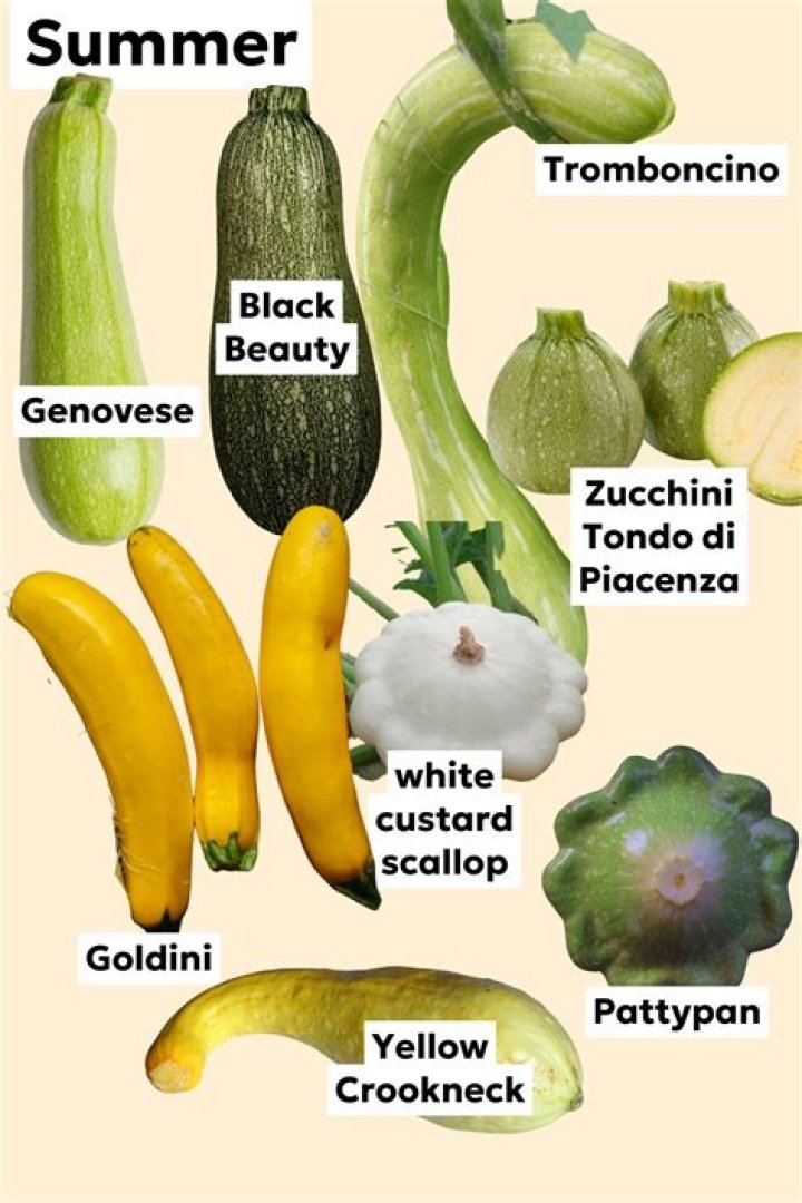 Which squash can be eaten raw?