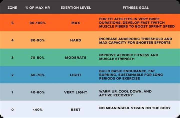 Which zone is best for burning fat?
