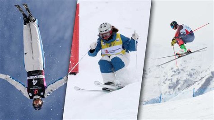 Who got gold in freestyle skiing?