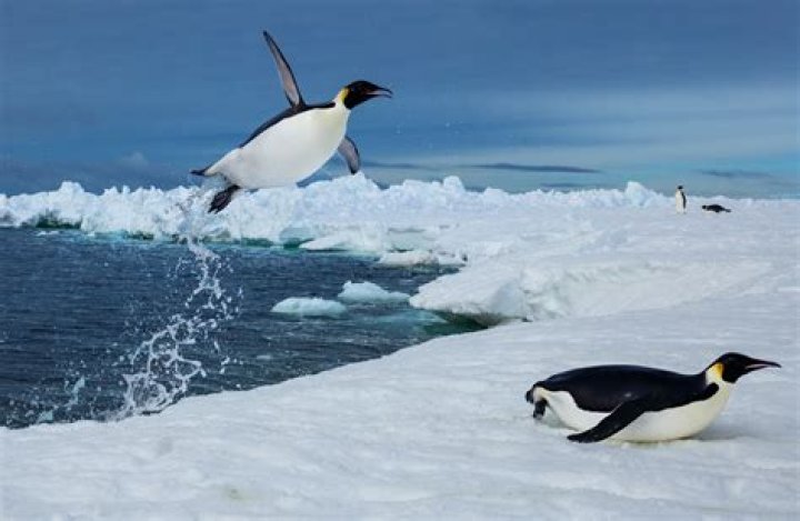 Who is the best Penguins player?