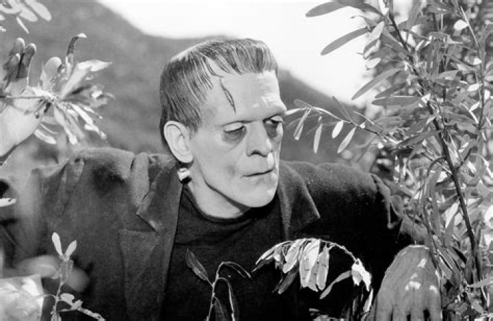 Who is William Frankenstein?