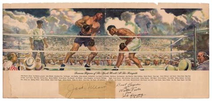 Who won the fight between Jack Dempsey and Jess Willard?