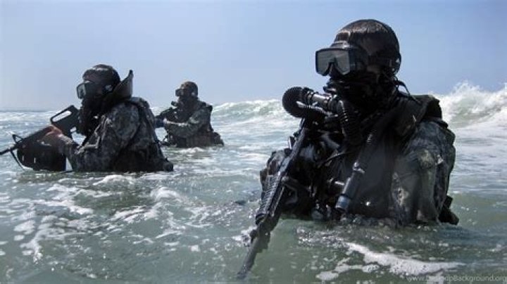 Why are SEALs called frogmen?