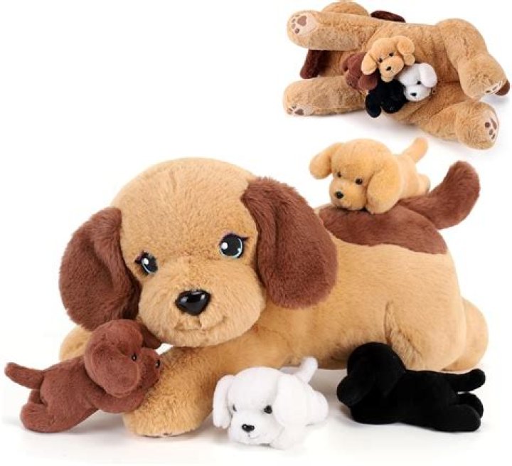 Why can't I get rid of my stuffed animals?