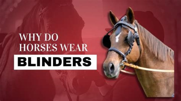 Why do horses drool in dressage?