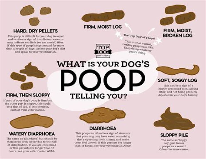 Why does my pee and poop smell the same?