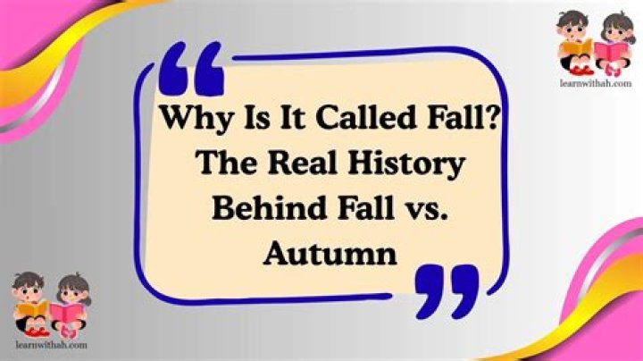 Why is it called fly-half?