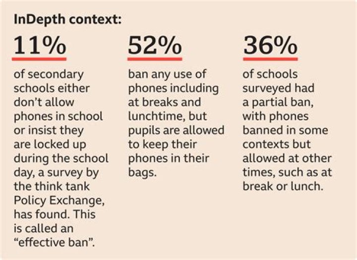 Why is tag banned in schools?