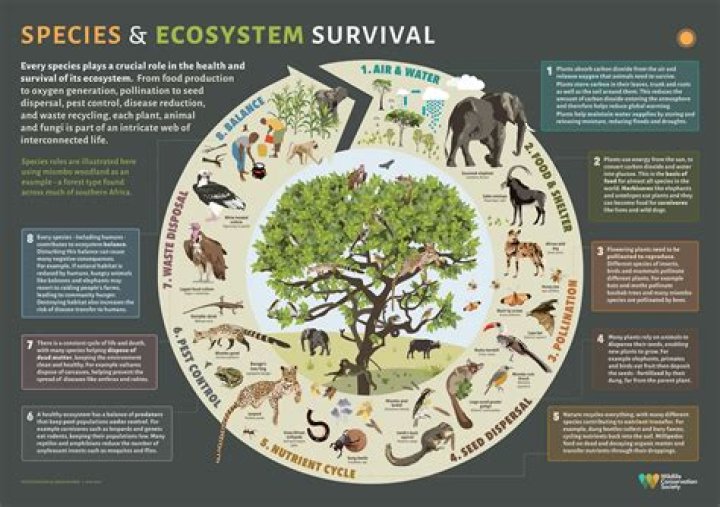 Why is the ecosystem of the Sundarbans facing a serious threat?