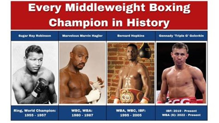 Why is there so many boxing titles?