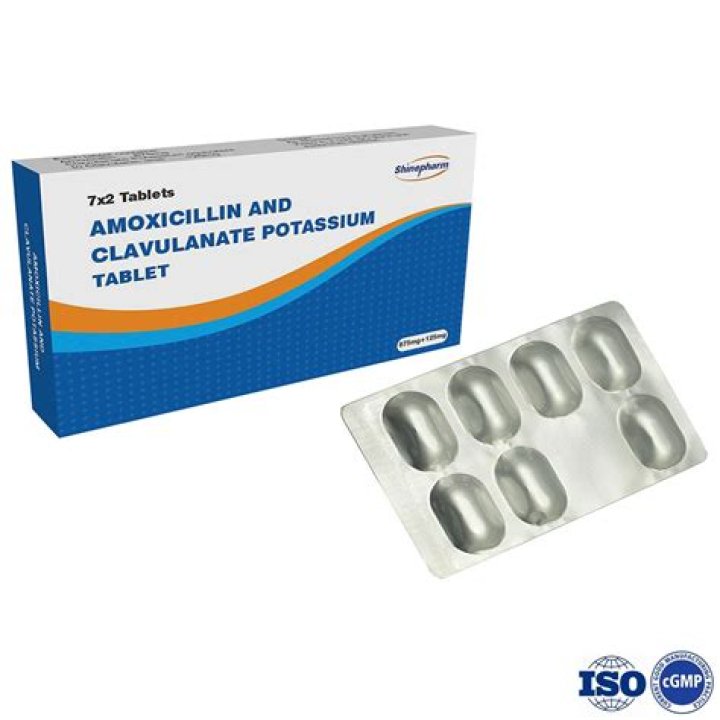 Will amoxicillin 875 mg treat a UTI?